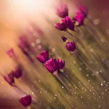 Biblical Forgiveness 3