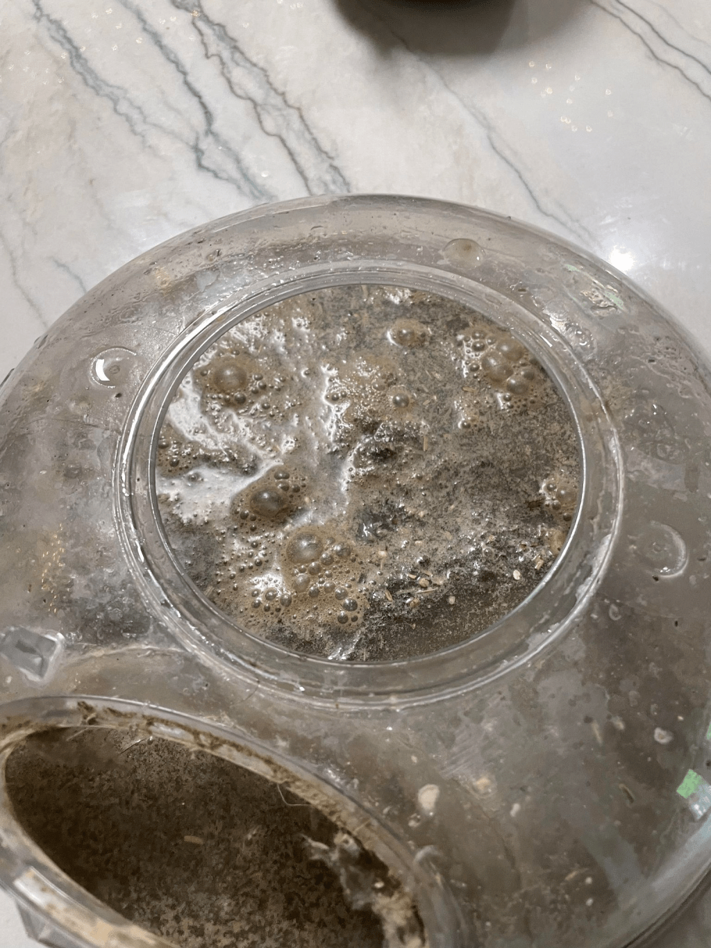 Well, That’s Gross!